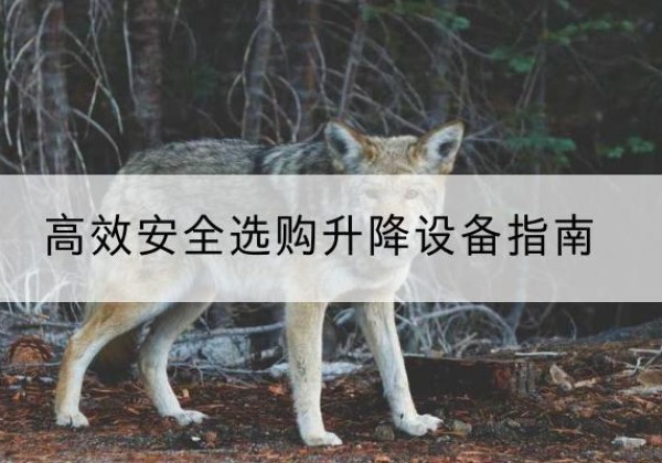 新宁升降货梯厂家推荐-*安全选购升降设备指南