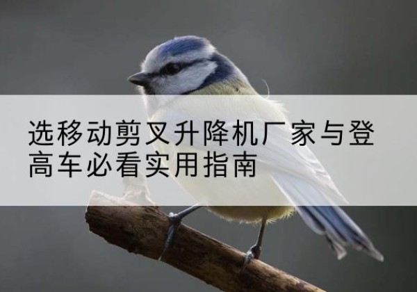 新宁电动升降机厂家-选移动剪叉升降机厂家与登高车必看实用指南