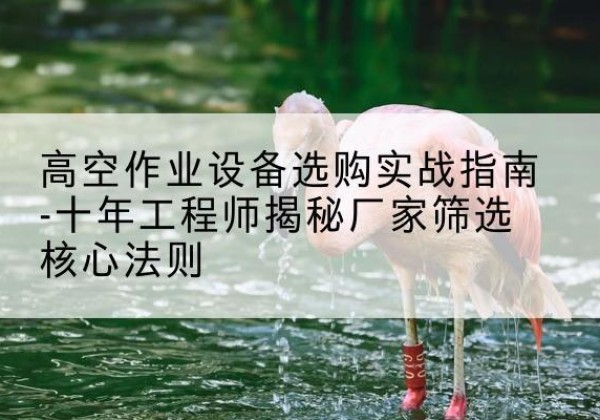 新宁剪叉式升降机厂家-高空作业设备选购实战指南-十年工程师揭秘厂家筛选核心法则